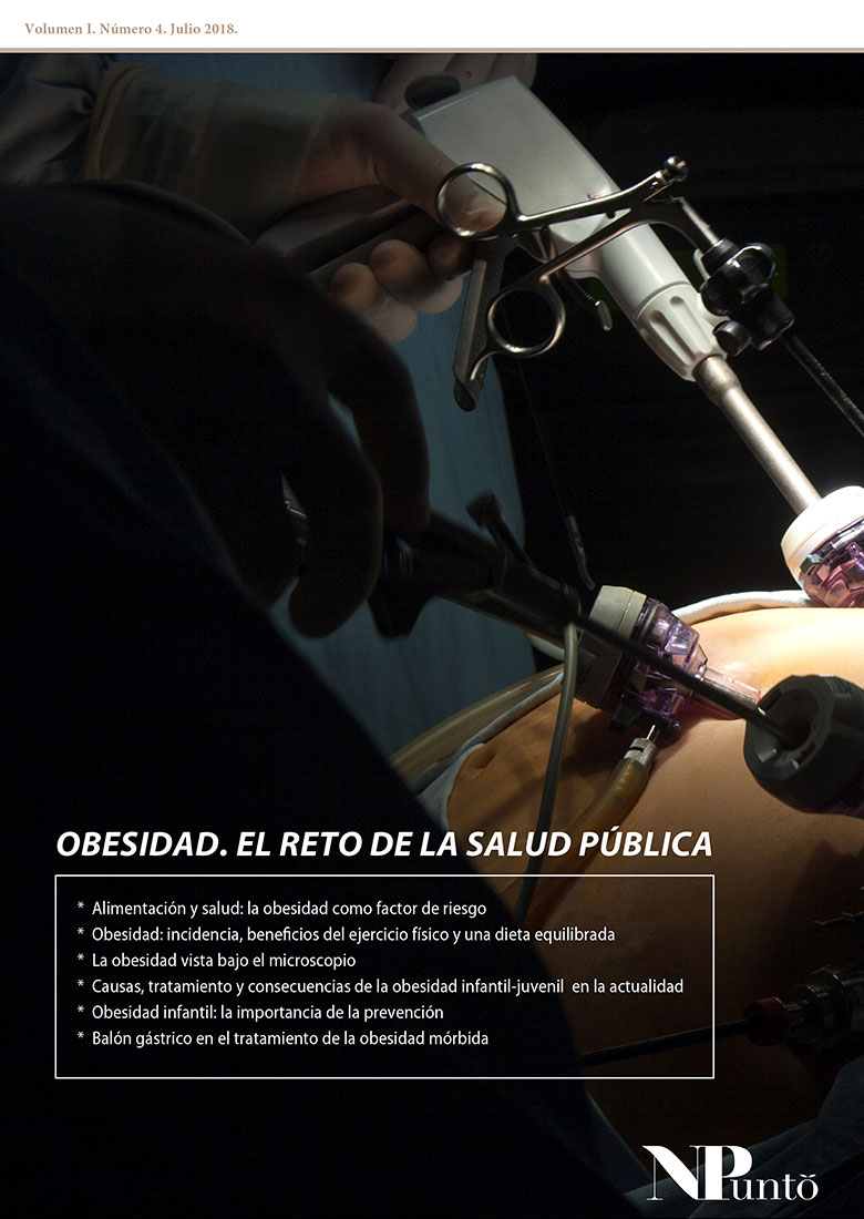 Portada de Obesidad: El reto de la salud pública