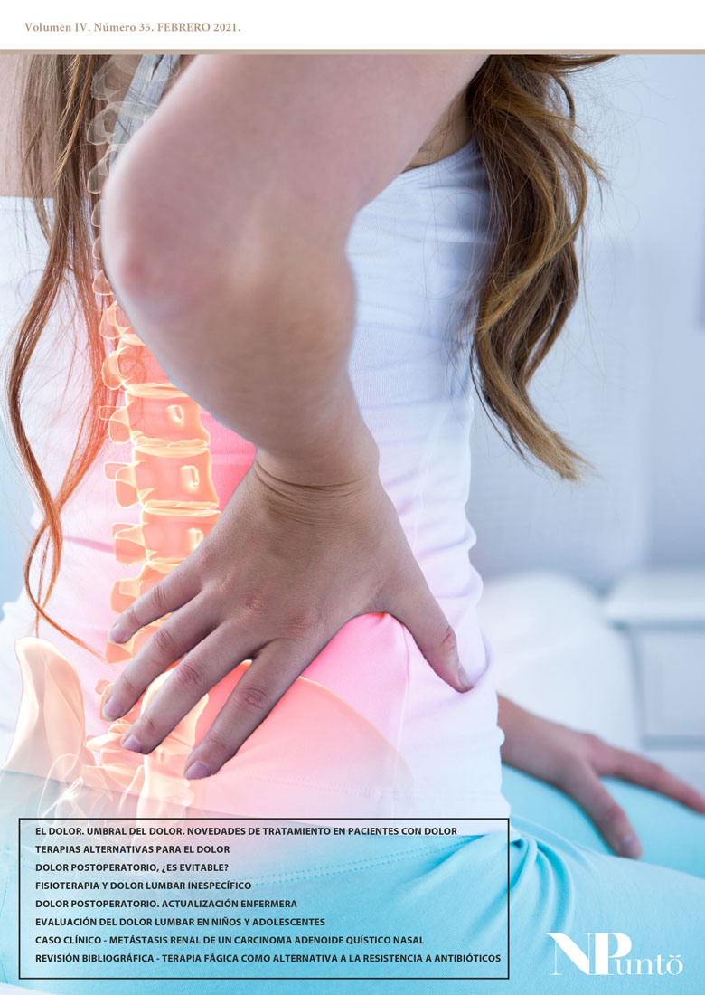 FISIOTERAPIA Y DOLOR LUMBAR INESPECÍFICO